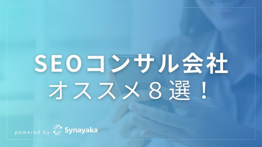 seoconsulting-7