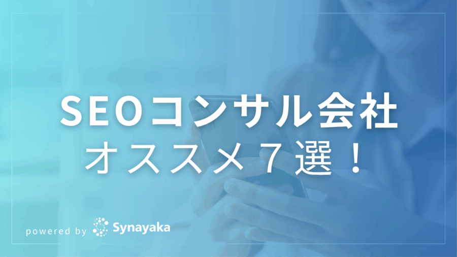 seoconsulting-7